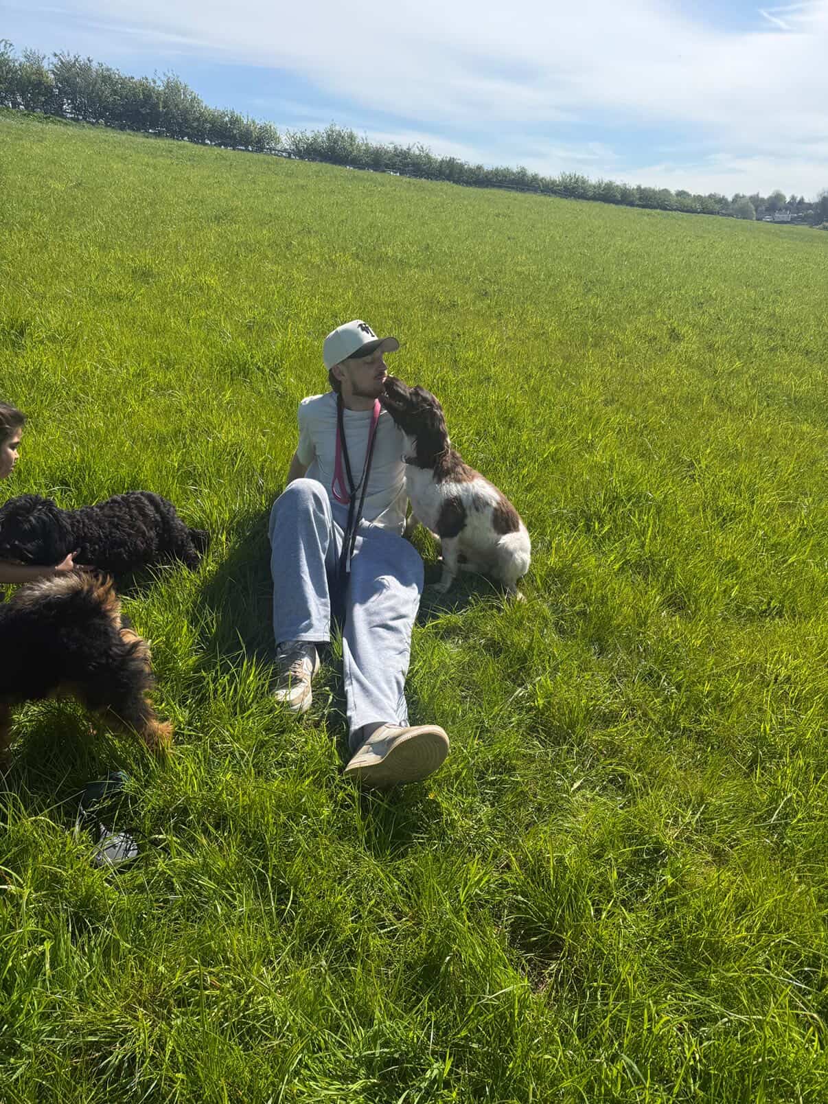 Connor sitting in a sunny field surrounded by happy dogs